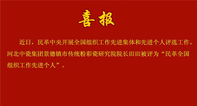 喜报！我院院长田田获评全国先进！