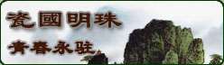 瓷国明珠——景德镇艺术瓷厂建厂五十周年作品集