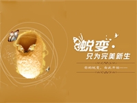 前言:由此蜕变