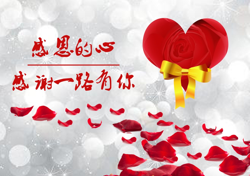 感恩至上，岁月静好