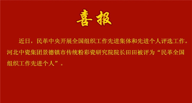 喜报！我院院长田田获评全国先进！